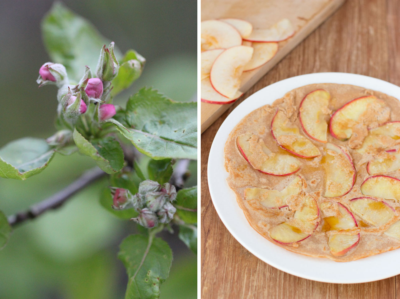 Apfelpfannkuchen mit Kokosmehl udn Kokosblütenzucker