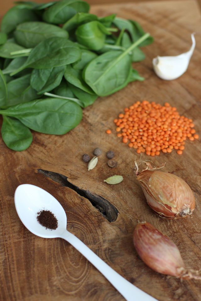 Rote Linsen One-Pot mit Spinat - Carrots for Claire