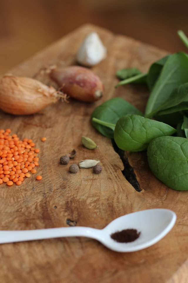 Rote Linsen One-Pot mit Spinat - Carrots for Claire