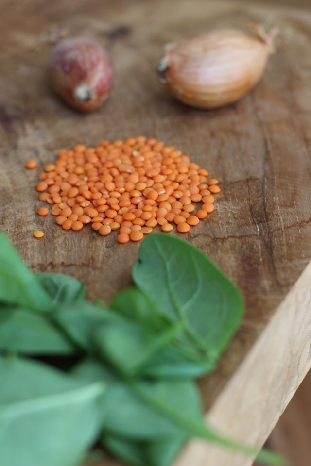 Rote Linsen One-Pot mit Spinat - Carrots for Claire